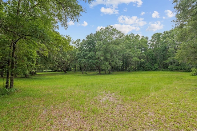 12832 SW 14th Ave, Newberry, FL 32669 - view of grassy yard with a wooded view