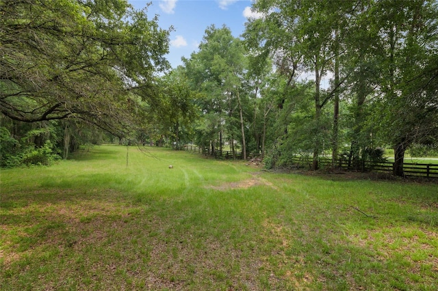 12832 SW 14th Ave, Newberry, FL 32669 - view of yard