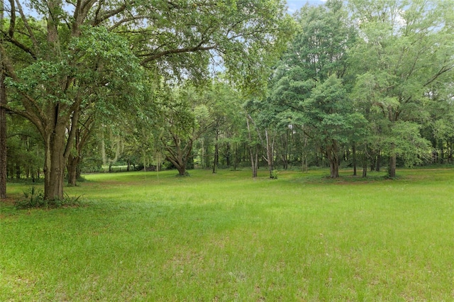 12832 SW 14th Ave, Newberry, FL 32669 - view of grassy yard