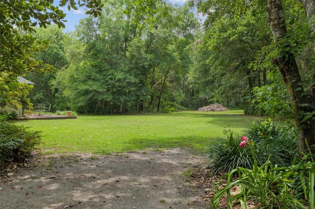 12832 SW 14th Ave, Newberry, FL 32669 - view of green lawn with a forest view