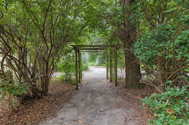 12832 SW 14th Ave, Newberry, FL 32669 - view of road