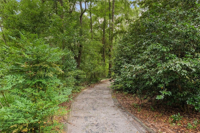 12832 SW 14th Ave, Newberry, FL 32669 - view of street with a view of trees