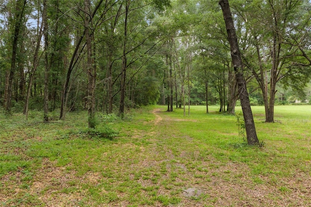 12832 SW 14th Ave, Newberry, FL 32669 - view of green lawn featuring a view of trees