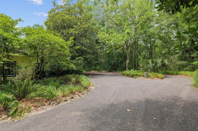12832 SW 14th Ave, Newberry, FL 32669 - view of asphalt street with a forest view