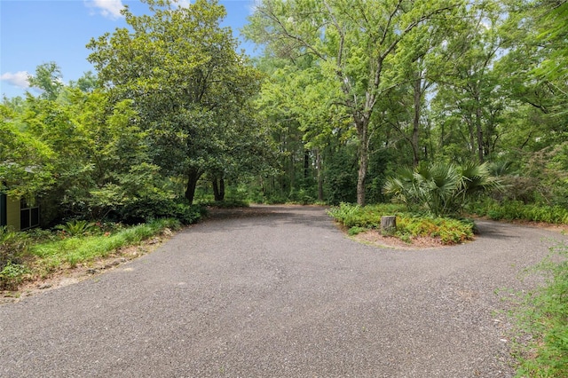 12832 SW 14th Ave, Newberry, FL 32669 - view of street with a forest view