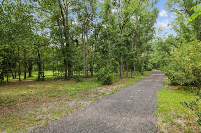 12832 SW 14th Ave, Newberry, FL 32669 - view of street featuring a forest view