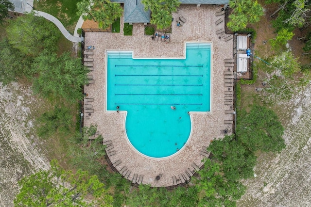 13365 Chesapeake Pl, Spring Hill, FL 34609 - view of subject property with a pool area