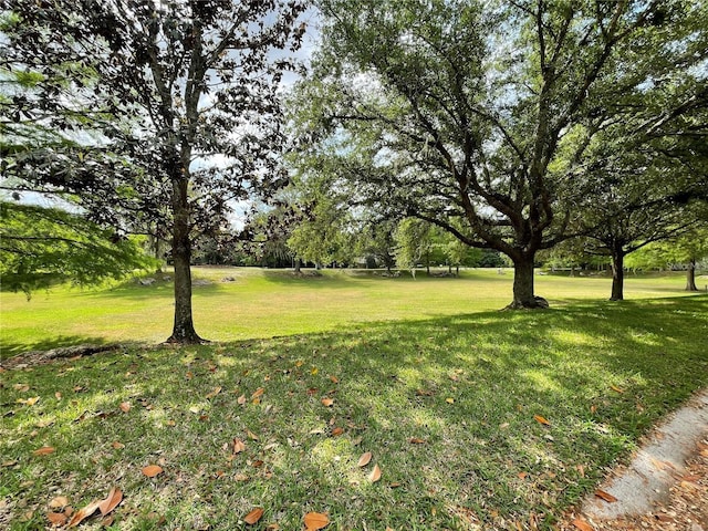 923 SW 85th Way, Gainesville, FL 32607 - view of green lawn