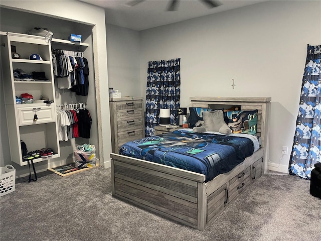 2518 Sunset Ln, Lutz, FL 33559 - carpeted bedroom with a closet and a walk in closet