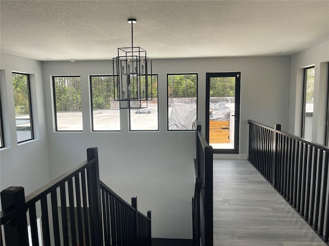 2518 Sunset Ln, Lutz, FL 33559 - corridor with an upstairs landing, wood finished floors, a textured ceiling, and a chandelier