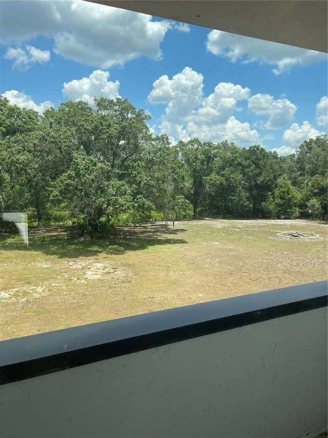 2518 Sunset Ln, Lutz, FL 33559 - view of yard with a forest view