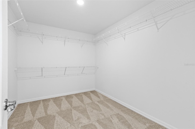 24424 NW 23rd Ln, Newberry, FL 32669 - photo 23