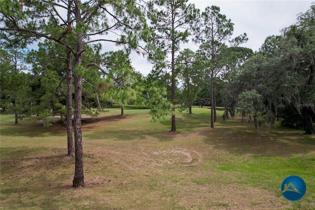 6206 NW 105th Ave, Alachua, FL 32615 - view of green lawn with view of scattered trees