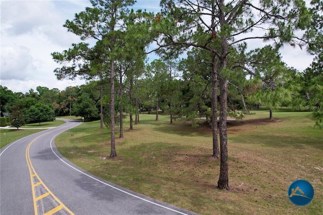 6206 NW 105th Ave, Alachua, FL 32615 - view of asphalt road featuring view of scattered trees