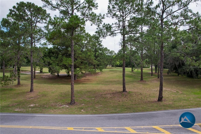 6206 NW 105th Ave, Alachua, FL 32615 - view of community with a lawn and view of wooded area