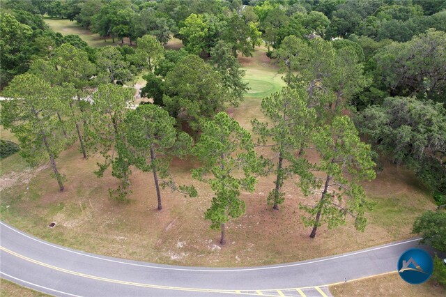 6206 NW 105th Ave, Alachua, FL 32615 - aerial view of property's location featuring a tree filled landscape