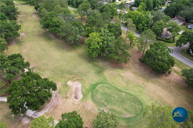 6206 NW 105th Ave, Alachua, FL 32615 - view of property location featuring a golf club and a tree filled landscape