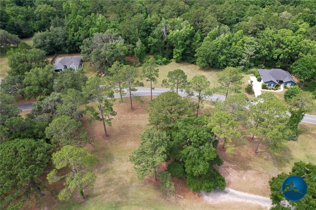 6206 NW 105th Ave, Alachua, FL 32615 - aerial view of property's location featuring a forest