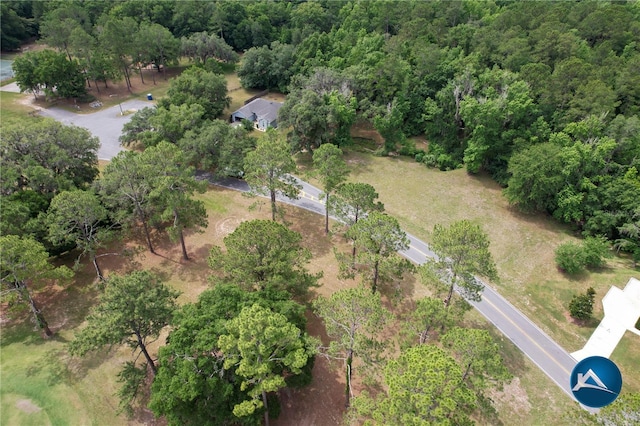 6206 NW 105th Ave, Alachua, FL 32615 - aerial view of property's location with a forest