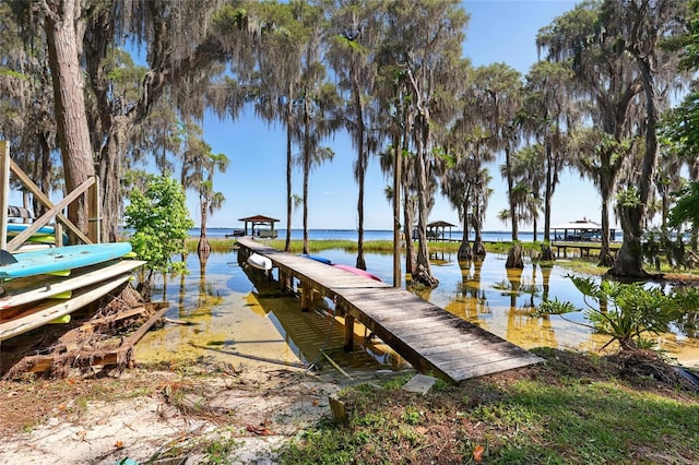 23014 NE 69th Ave, Melrose, FL 32666 - photo 84
