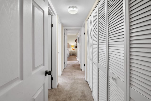 401 NW 39th Rd Unit 401C, Gainesville, FL 32607 - hallway with light colored carpet