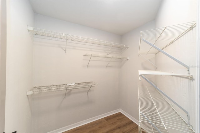 6245 NW 106th Pl Unit 6245, Alachua, FL 32615 - walk in closet with wood finished floors