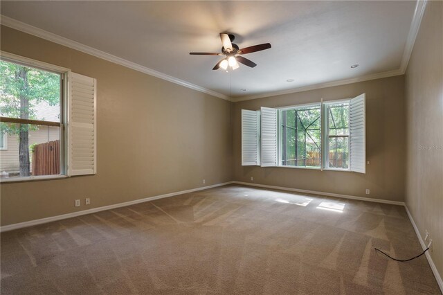 5119 NW 57th St, Gainesville, FL 32653 - carpeted spare room featuring ceiling fan, baseboards, and crown molding
