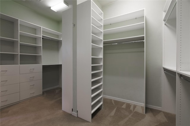5119 NW 57th St, Gainesville, FL 32653 - spacious closet with carpet floors