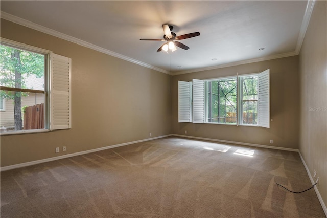 5119 NW 57th St, Gainesville, FL 32653 - photo 33