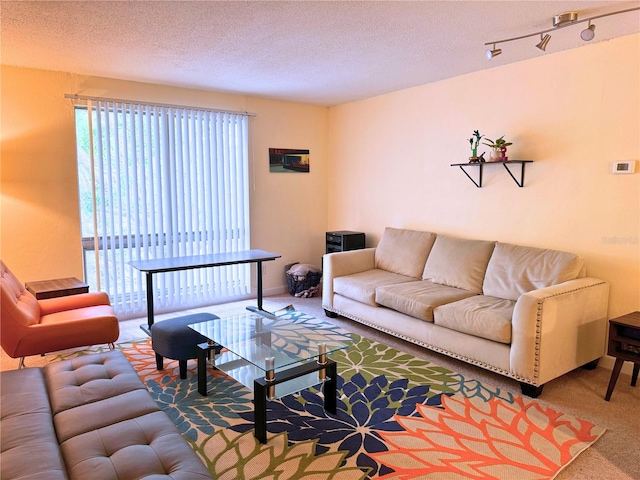 1700 SW 16th Ct Unit J22, Gainesville, FL 32608 - living room featuring carpet flooring, healthy amount of natural light, a textured ceiling, and track lighting
