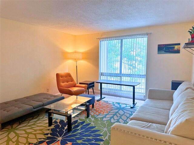 1700 SW 16th Ct Unit J22, Gainesville, FL 32608 - carpeted living area featuring a textured ceiling