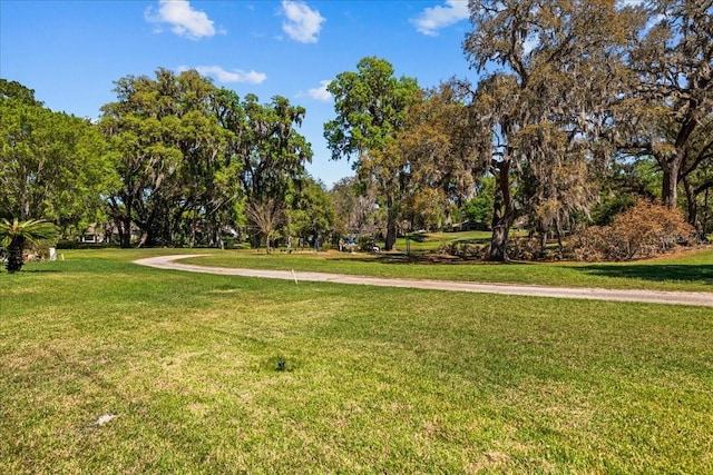 11737 Creek Dr, Alachua, FL 32615 - view of property's community featuring a lawn and view of scattered trees