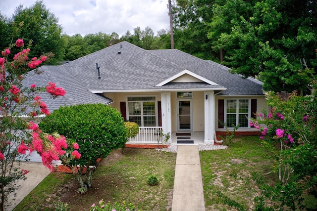 7120 SW 85th Ter SW, Gainesville, FL 32608 - view of front facade featuring a shingled roof, a porch, and a front yard