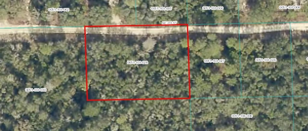 TBD NE 236th St, Fort Mc Coy, FL 32134