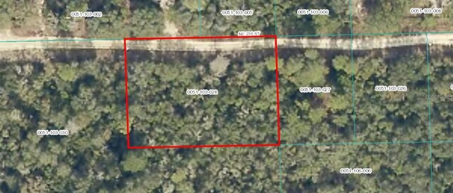 TBD NE 236th St, Fort Mc Coy, FL 32134