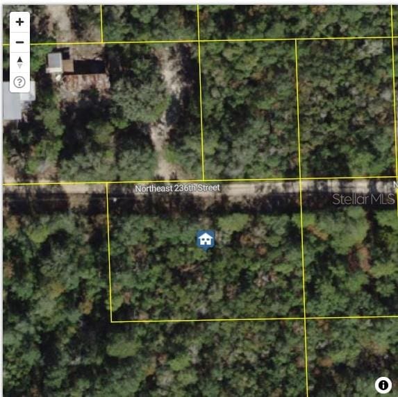 TBD NE 236th St, Fort Mc Coy, FL 32134