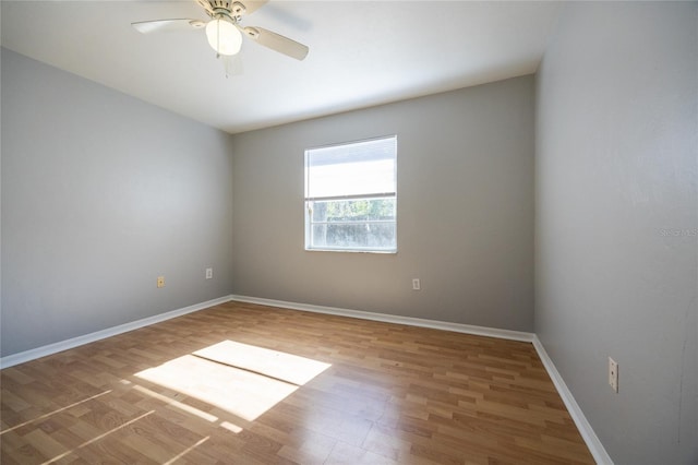 4201 NW 60th Ave, Gainesville, FL 32653 - photo 32
