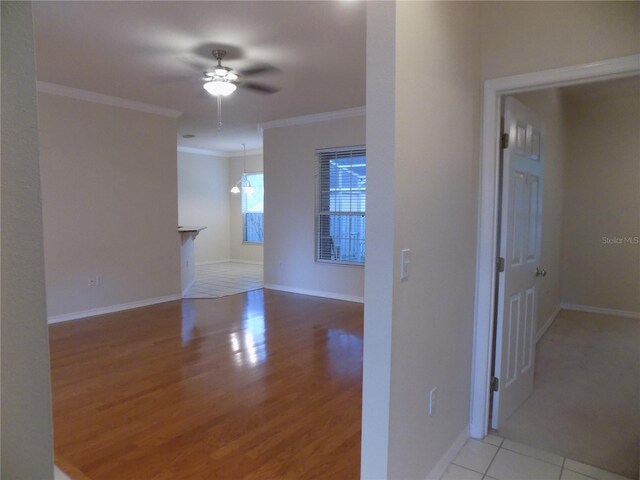 11903 NW 9th Rd, Gainesville, FL 32606 - photo 34