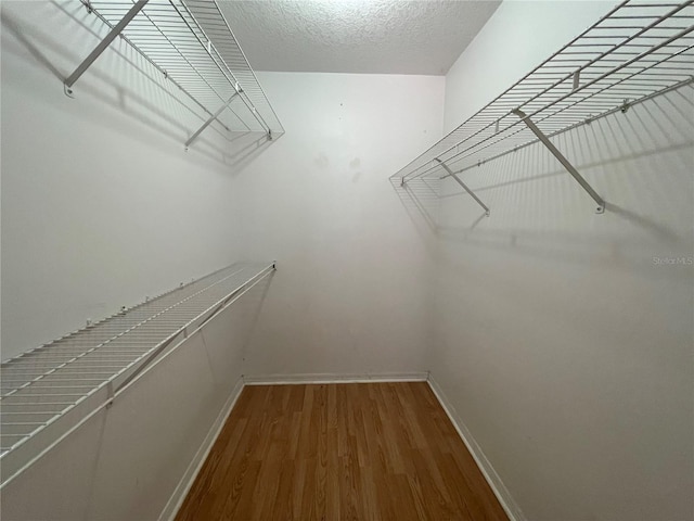 395 SW Grove St, Keystone Heights, FL 32656 - spacious closet featuring wood finished floors
