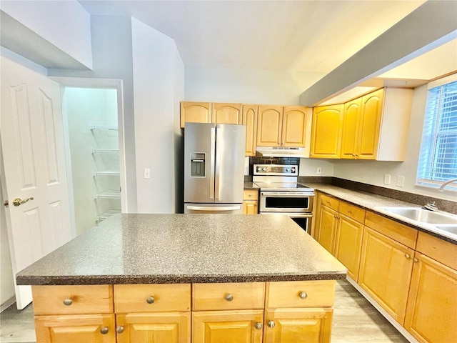 5510 NW 80th Ave, Gainesville, FL 32653 - kitchen featuring stainless steel appliances, under cabinet range hood, a sink, light brown cabinetry, and light wood-type flooring