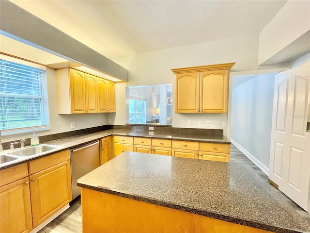 5510 NW 80th Ave, Gainesville, FL 32653 - kitchen with dishwasher, light brown cabinetry, dark countertops, and a sink