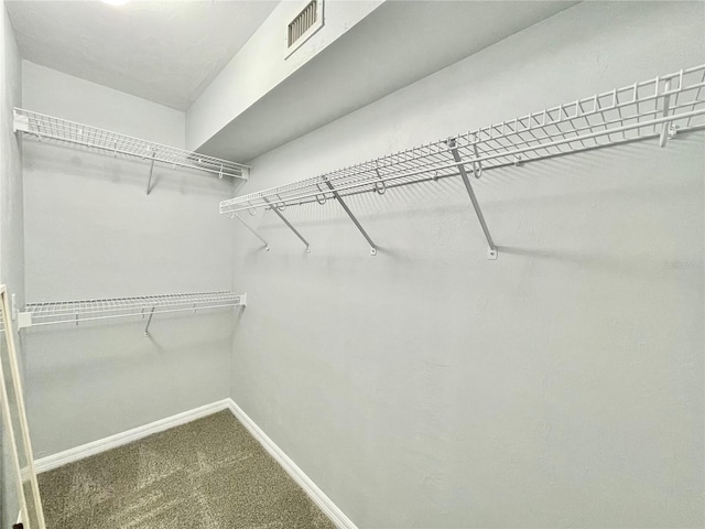 5510 NW 80th Ave, Gainesville, FL 32653 - walk in closet featuring carpet flooring