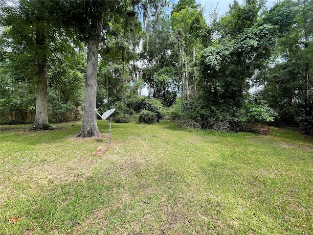 5510 NW 80th Ave, Gainesville, FL 32653 - view of green lawn