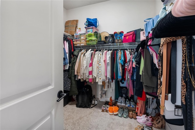 3225 SW 120th Ter, Gainesville, FL 32608 - walk in closet with carpet