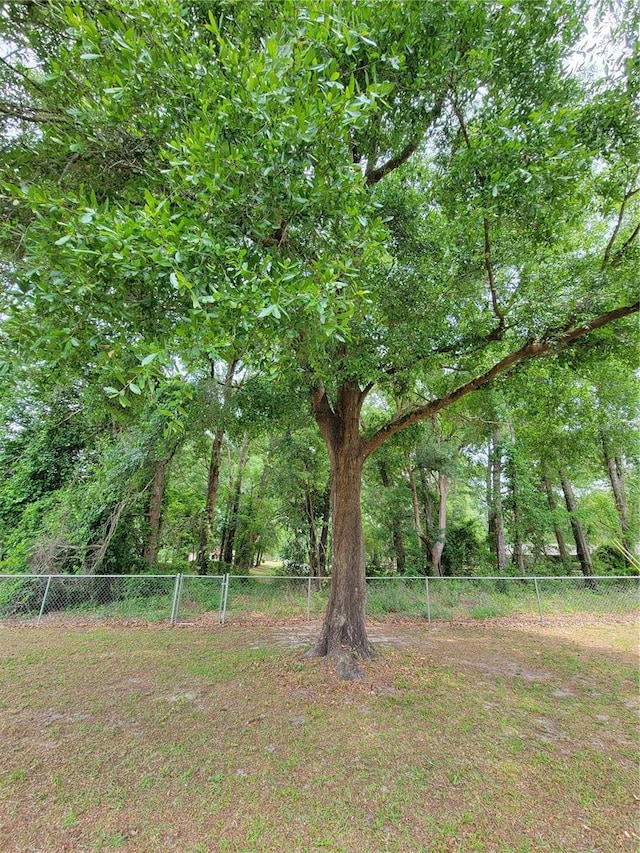 193 SE Yankee Ter, Lake City, FL 32025 - photo 9
