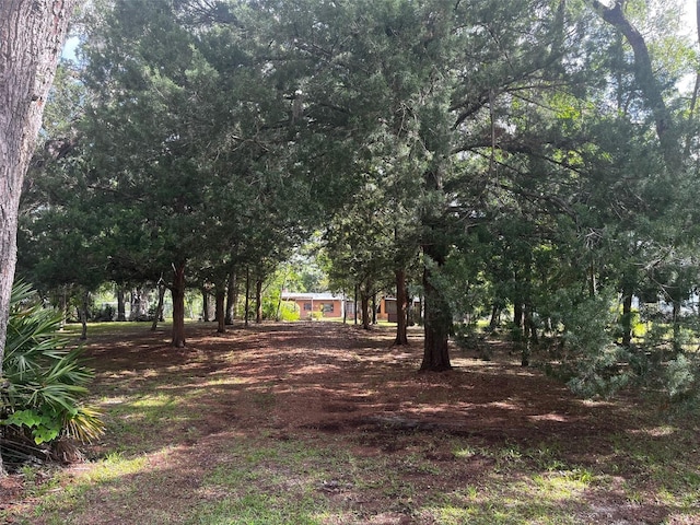 148 SE Riverside W Dr, Branford, FL 32008 - photo 41