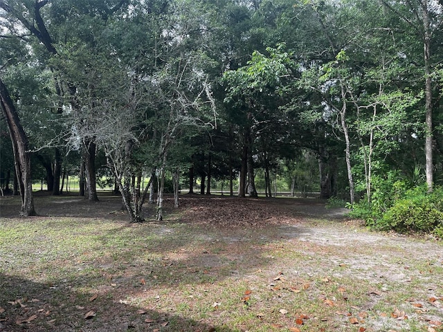 148 SE Riverside W Dr, Branford, FL 32008 - photo 40