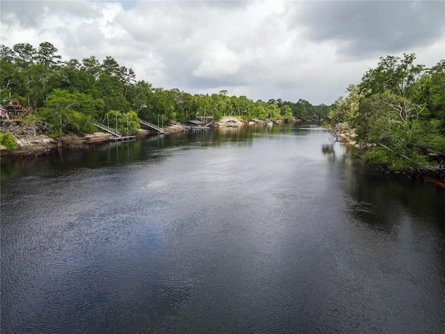 148 SE Riverside W Dr, Branford, FL 32008 - photo 16
