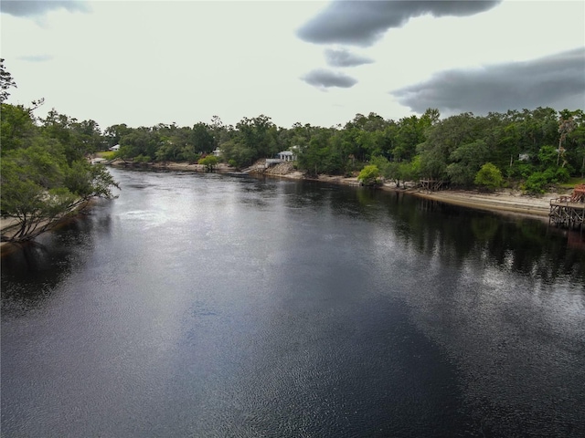 148 SE Riverside W Dr, Branford, FL 32008 - photo 17