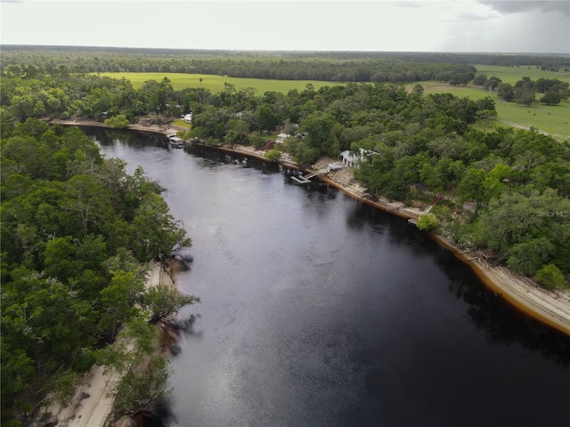 148 SE Riverside W Dr, Branford, FL 32008 - photo 13